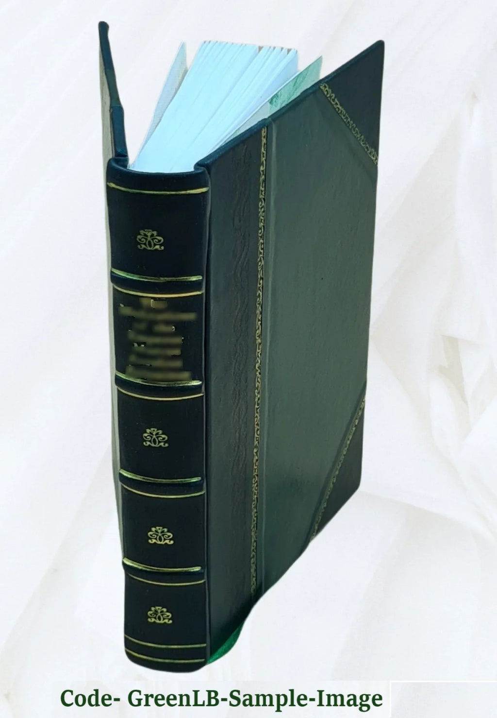 composé par [Leather / cavalerice Brove... françois De 1610 Bound] La Salomon La