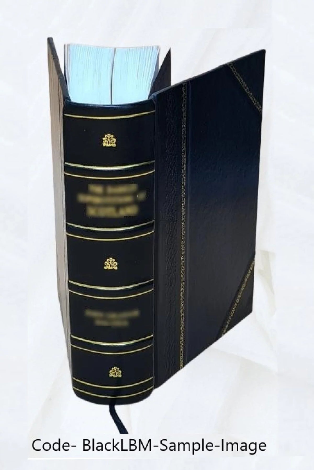 Shisō.,思想. 1926 BOUND] no.54-59 1926 [LEATHER Volume